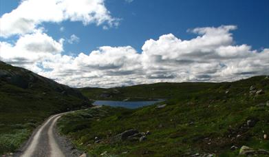 Vregletjønn er en av vannene du kan fiske med fiskekort på Hardangervidda.