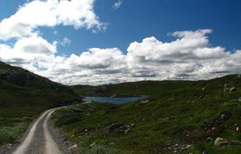 Vregletjønn er en av vannene du kan fiske med fiskekort på Hardangervidda.