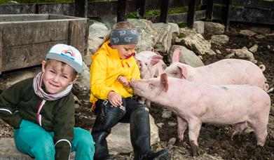 Besøkssetrer: Bergstaulen seter, Håvardsrud Seterliv og Selstali Seter.