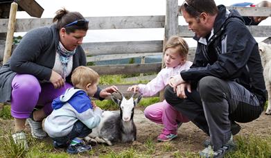 Både voksne og barn trives på gardsferie