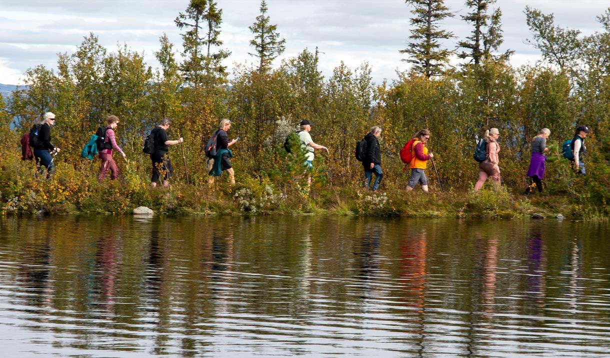 Sveiven 25 år - 2026
