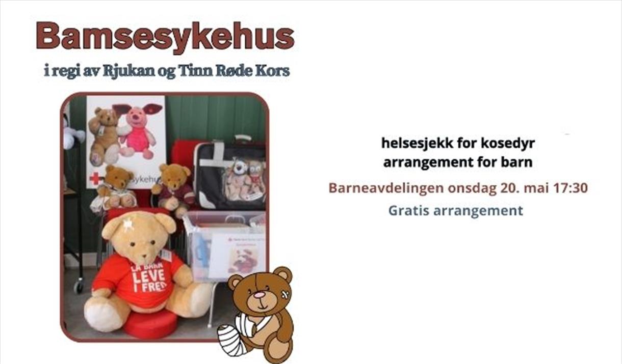 Bamsesykehus