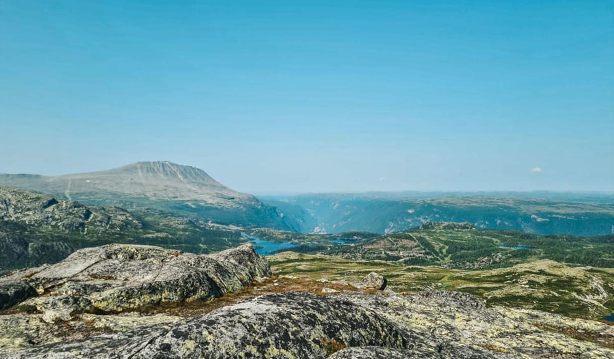 Guidet tur til Ørnenipa