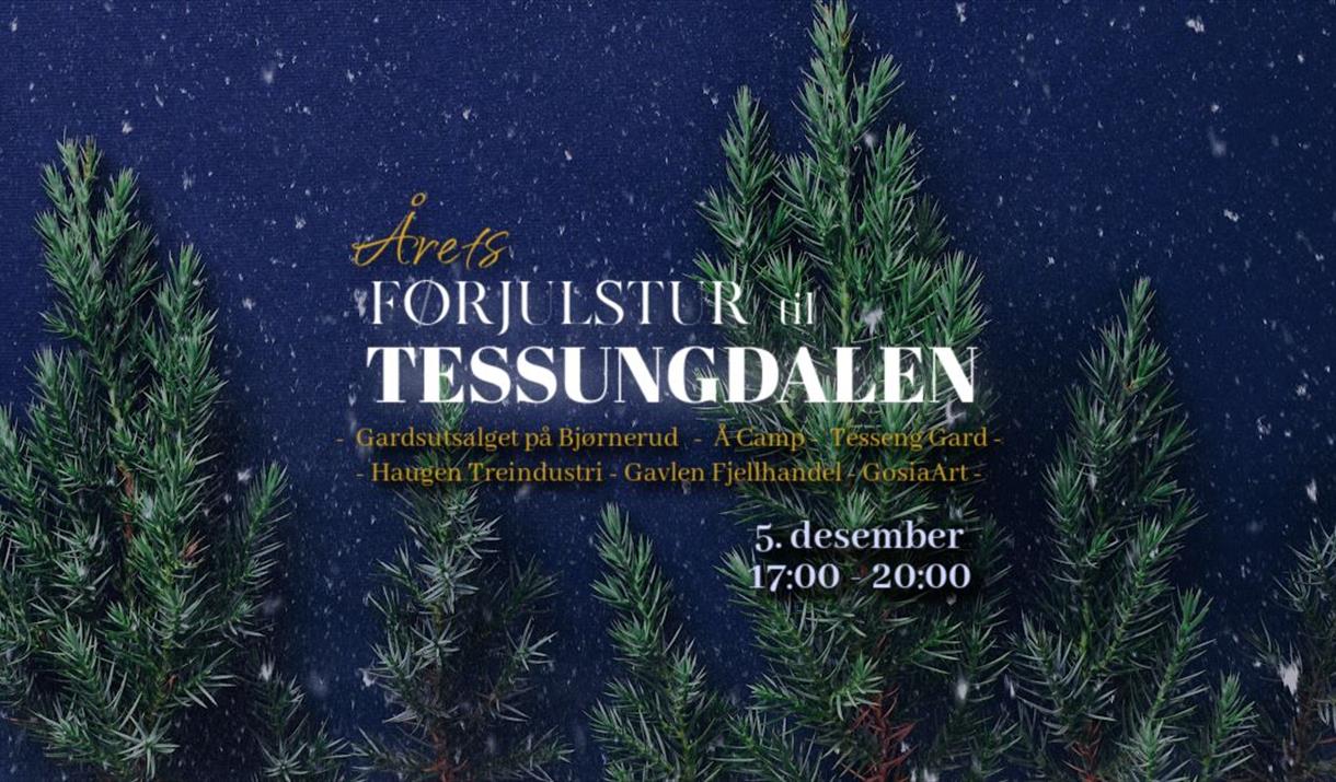 Førjulstur til Tessungdalen