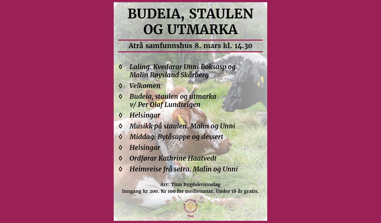 BUDEIA, STAULEN OG UTMARKA