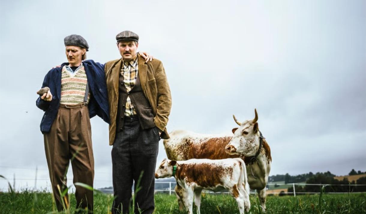 Stein i lomma - Teater Ibsen