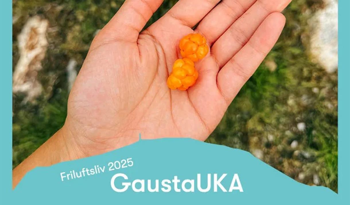GaustaUka: Plukk & spis med Jimmy Øien