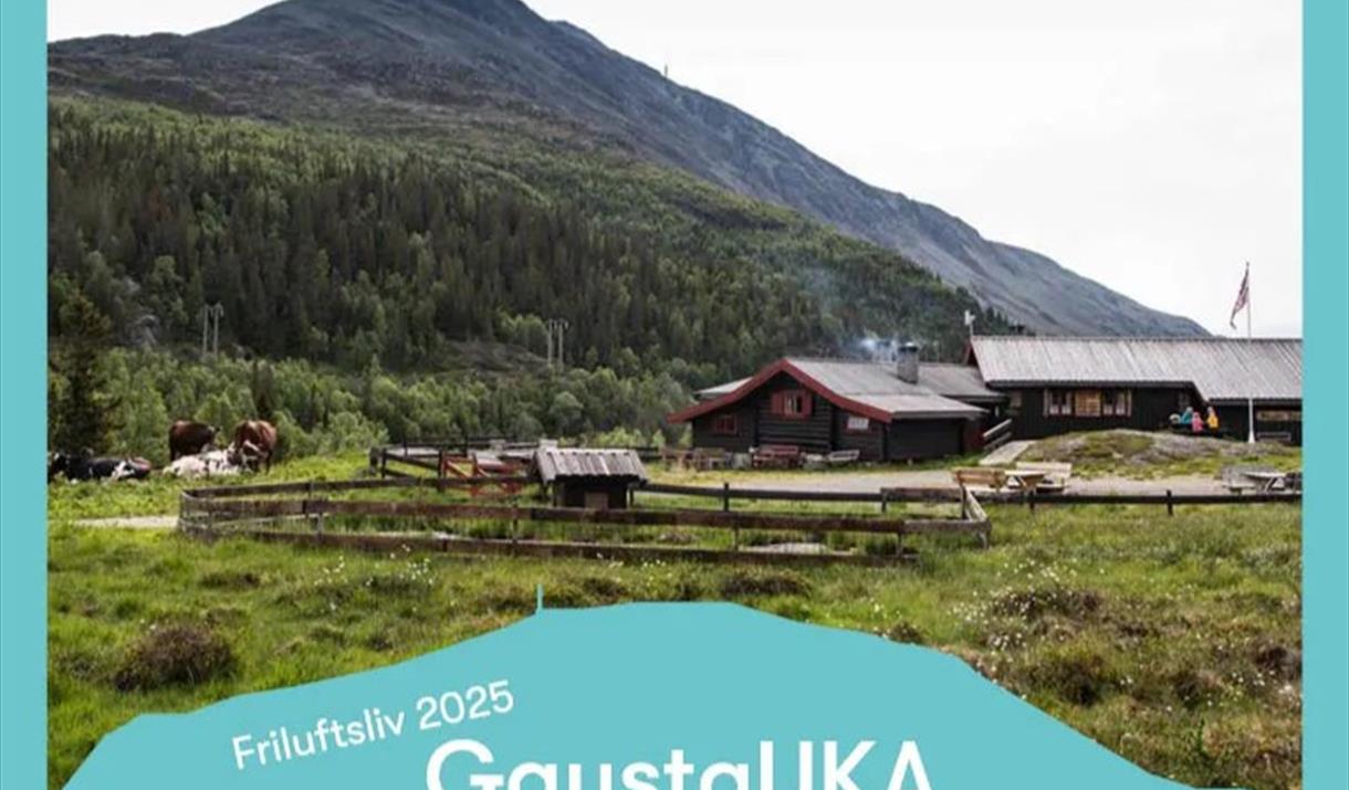 Guidet fjelltur - Svineroi til Selstali Seter