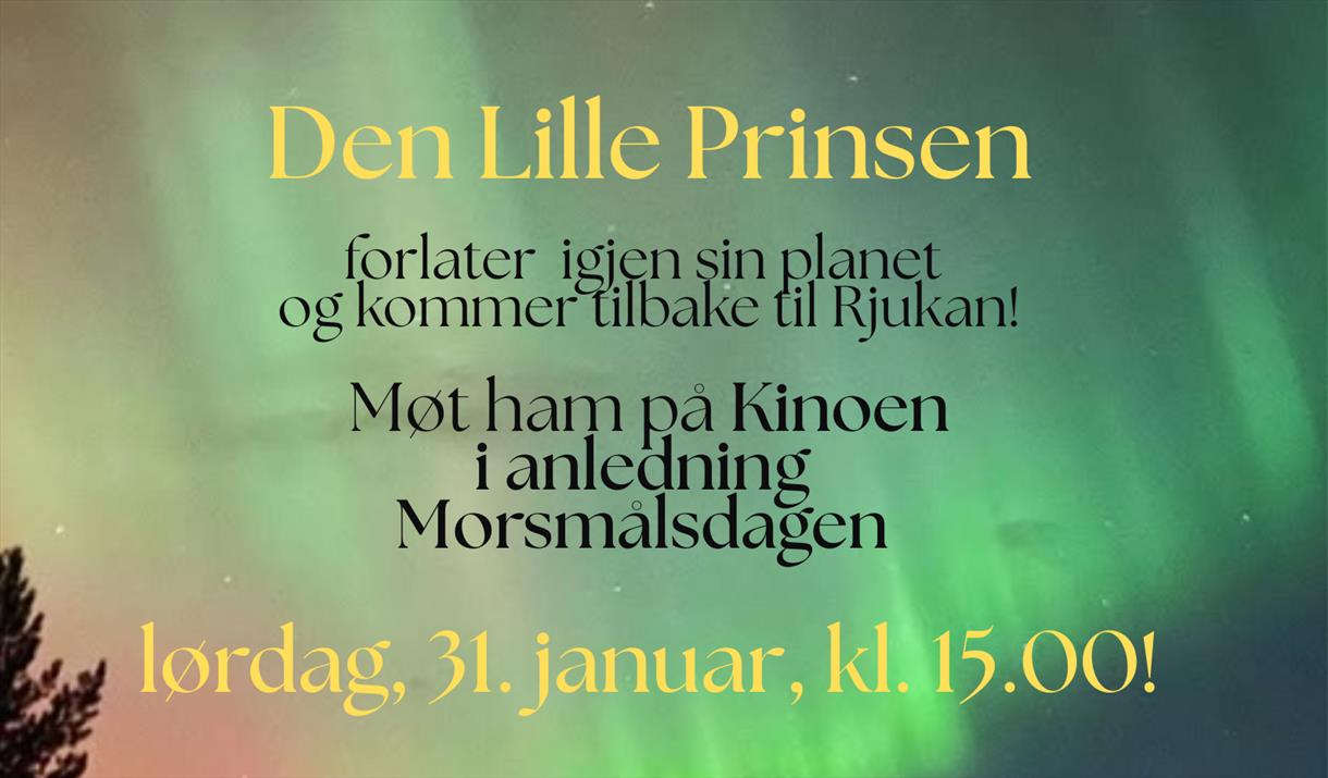 Markering av Morsmålsdagen: Teaterforestilling "Den lille prinsen"