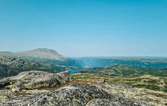 Guidet tur til Ørnenipa