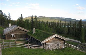 Startpunktet for numedalshovda går fra Håvardsrud Seterliv. Kombiner gjerne turen med et besøk på setra.