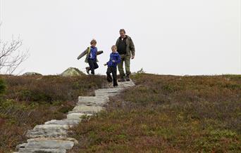 Solstien på Hardangervidda