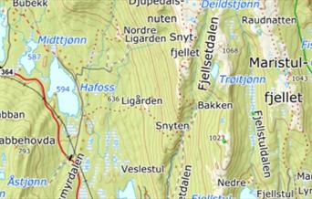 FRILUFTSLIVETS ÅR: Snytfjell - kveldstur med utsikt