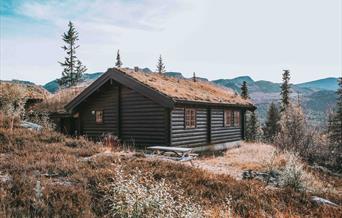 hytte hos Gaustablikk Fjellhytter og Apartments