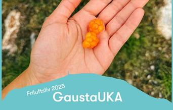 GaustaUka: Plukk & spis med Jimmy Øien