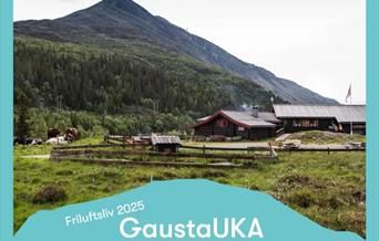 Guidet fjelltur - Svineroi til Selstali Seter