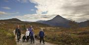 Flott utsikt mot Gaustatoppen fra Solstien