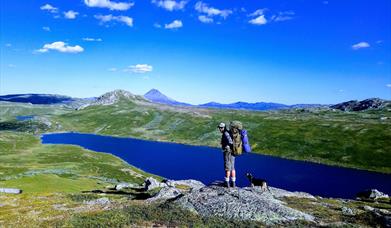 Fiske på Hardangervidda