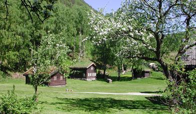 Arkivdagen