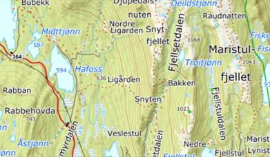 FRILUFTSLIVETS ÅR: Snytfjell - kveldstur med utsikt