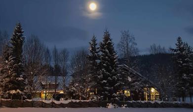 Tessungdalen førjulstur