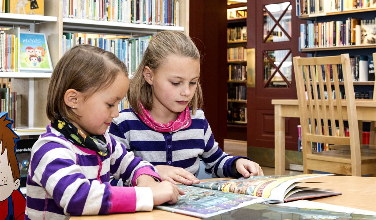 På Rjukan bibliotek finnes lektyre for voksne og barn.