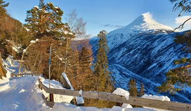 View from Krosso Fjellstue towards Mount Gausta in winter 